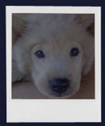 Photo Gallery | Conrad's Digital Portfolio